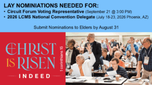 August 31 – Lay Nominations Needed