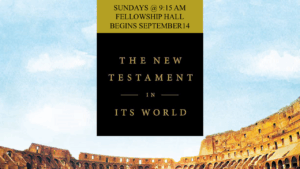 The New Testament In Its World